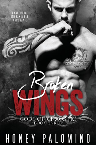 Broken Wings Gods of Chaos MC
