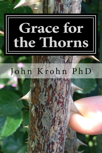 Grace for the Thorns Finding God's Grace in the Midst of Unrelenting Trials