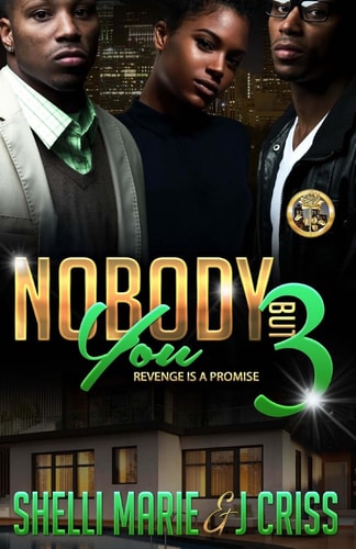 Nobody But You 3 Revenge Is a Promise