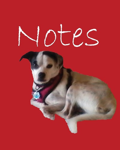 Notes Volume 4