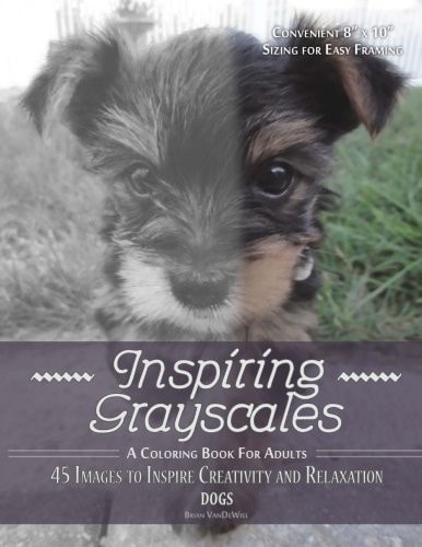 Inspiring Grayscales: Dogs 45 Images to Inspire Creativity and Relaxation