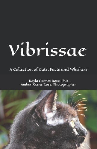 Vibrissae A Collection of Cats, Facts and Whiskers