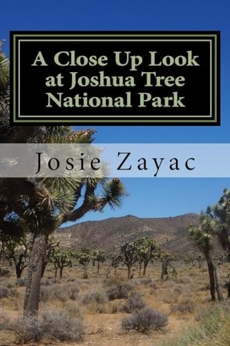 A Close Up Look at Joshua Tree National Park
