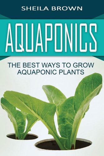 Aquaponics The Best Ways to Grow Aquaponic Plants