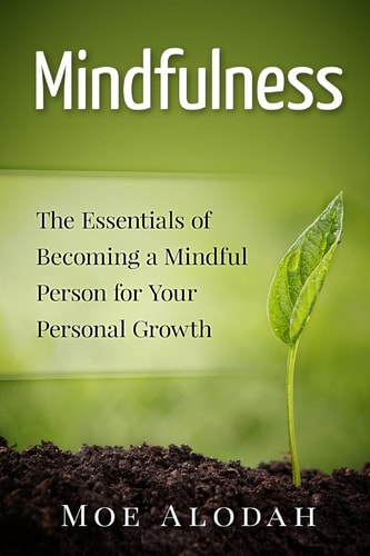 Mindfulness The Essentials of Becoming a Mindful Person for Your Personal Growth