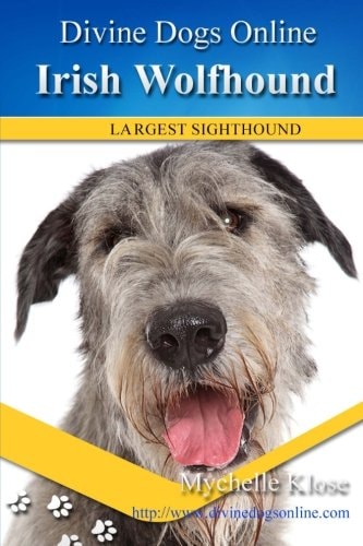 Irish Wolfhound