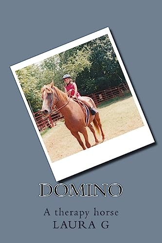 Domino The Therapy Horse