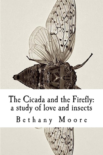 The Cicada and the Firefly A Study of Love and Insects