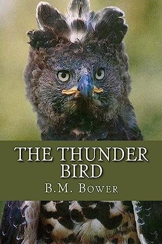 The Thunder Bird