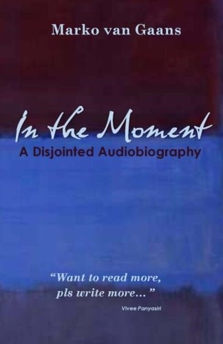 In the Moment A Disjointed Audiobiography