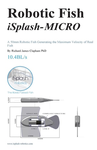 Robotic Fish ISplash-MICRO A 50mm Robotic Fish Generating the Maximum Velocity of Real Fish