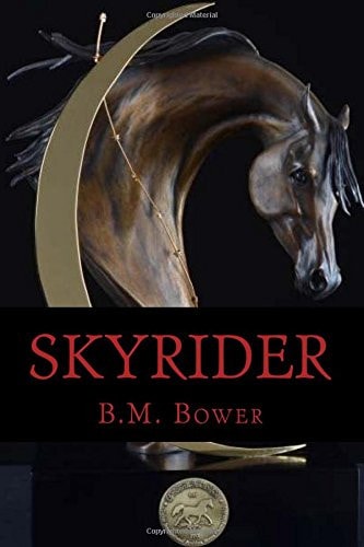 Skyrider