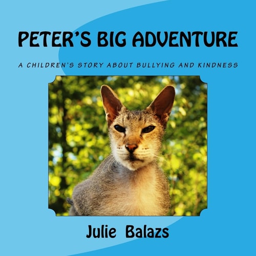 Peter's Big Adventure A Children's Story about Bullying and Kindness