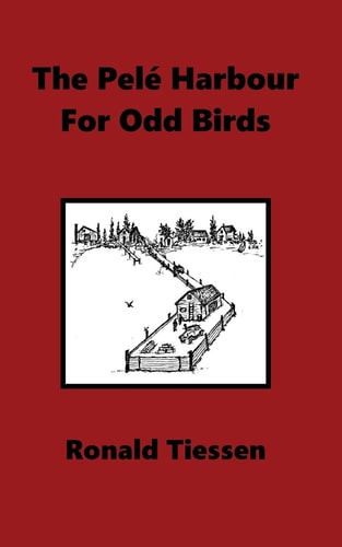 The Pelé Harbour for Odd Birds