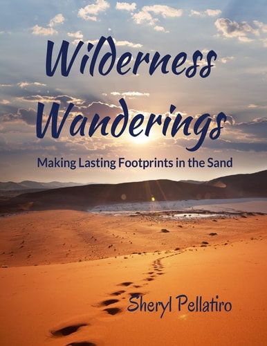 Wilderness Wanderings Making Lasting Footprints in the Sand