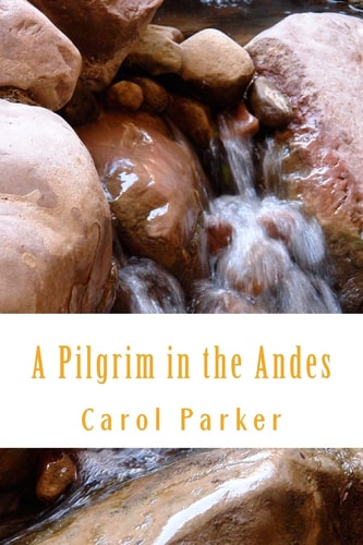 A Pilgrim in the Andes