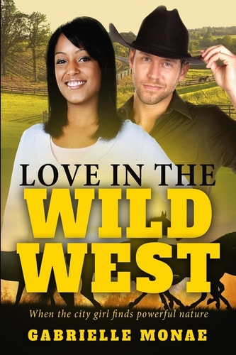 Love In The Wild West A Billionaire Cowboy BWWM Romance For Adults