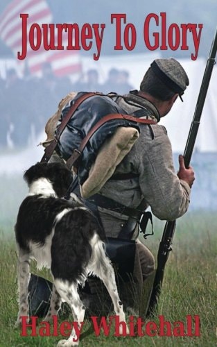 Journey to Glory A Story of a Civil War Soldier and His Dog