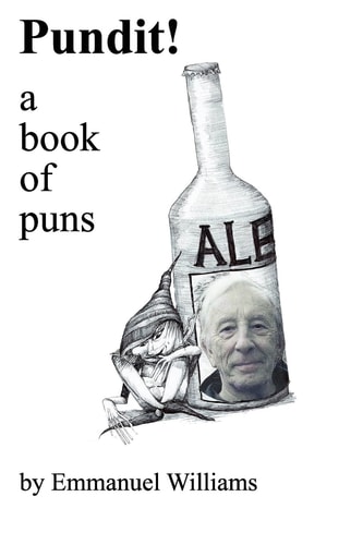 Pundit 150 Original Puns