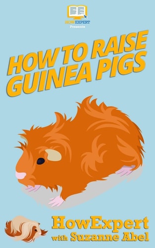 How To Raise Guinea Pigs Your Step-By-Step-Guide to Raising Guinea Pigs