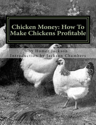 Chicken Money How To Make Chickens Profitable