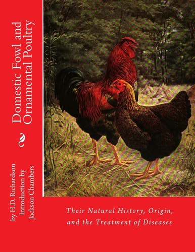 Domestic Fowl and Ornamental Poultry Their Natural History, Origin, and the Treatment of Diseases