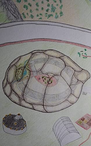 The Turtle Test