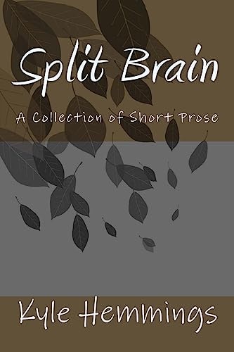 Split Brain A Collection of Short Prose