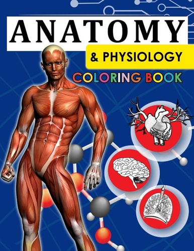 Anatomy and Physiology Coloring Book 2nd Edtion