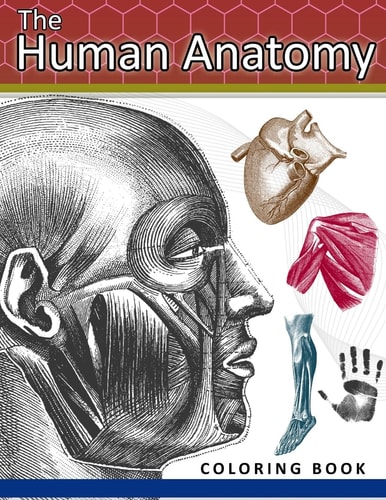 The Human Anatomy Coloring Book 2nd Edtion