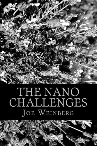 The Nano Challenges Four Novels Written on a Dare