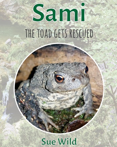 Sami The Toad Gets Rescued