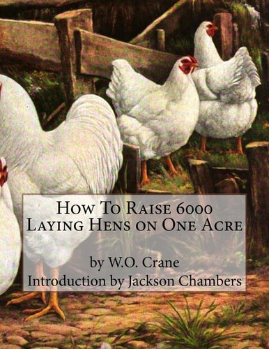 How To Raise 6000 Laying Hens on One Acre