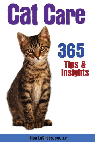 Cat Care 365 Tips and Insights