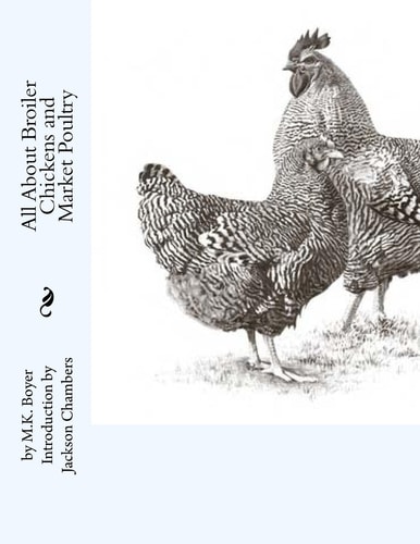All About Broiler Chickens and Market Poultry