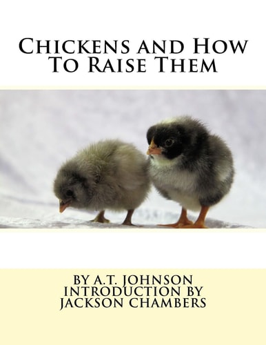 Chickens and How To Raise Them