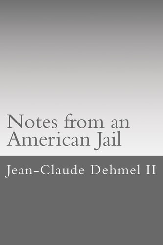 Notes from an American Jail One Attorneys Sixty Days in the New Haven County Jail