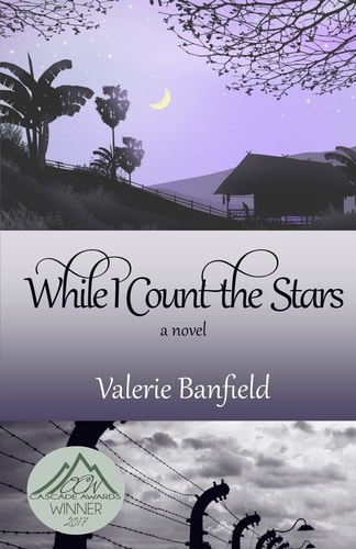 While I Count the Stars A Novel