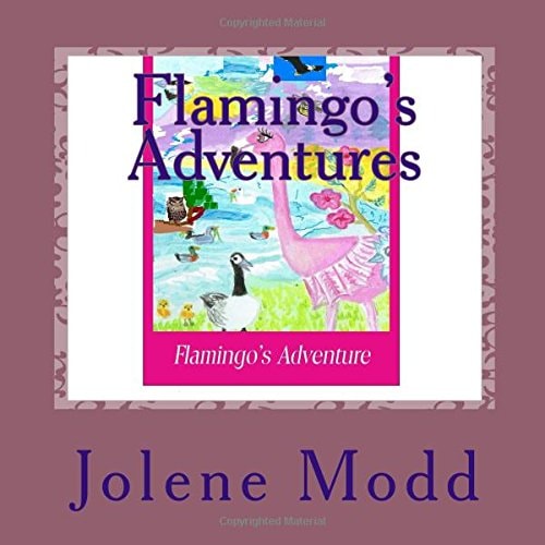 Flamingo's Adventures