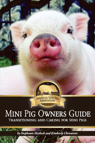 Mini Pig Owners Guide Transitioning and Caring for Mini Pigs