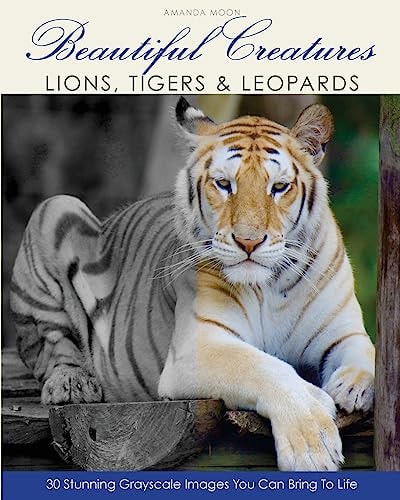 Beautiful Creatures Lions, Tigers and Leopards