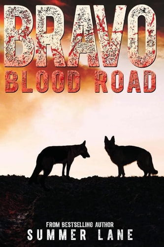 Bravo Blood Road