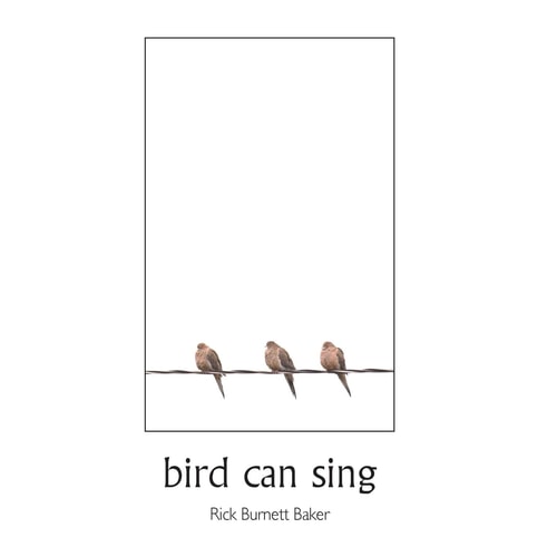 Bird Can Sing