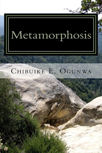 Metamorphosis An African Fiction