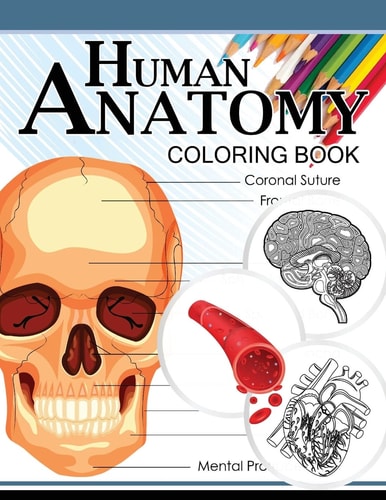 Human Anatomy Coloring Book Anatomy and Physiology Coloring Book 3rd Edtion