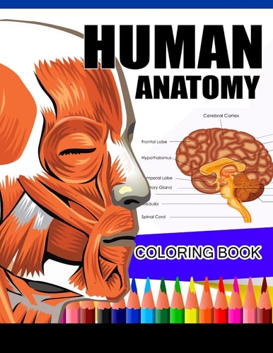 Human Anatomy Coloring Book Anatomy and Physiology Coloring Book (Complete Workbook)