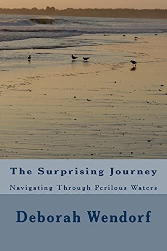 The Surprising Journey Navigating Through Perilous Waters