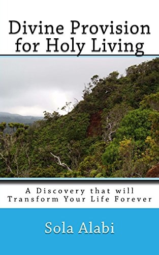 Divine Provision for Holy Living A Discovery That Will Transform Your Life Forever