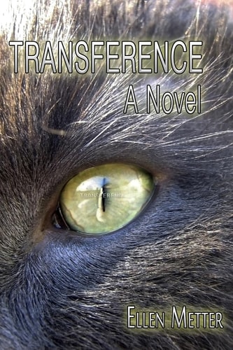 Transference A Novel