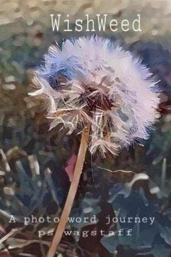 WishWeed A Photo Word Journey